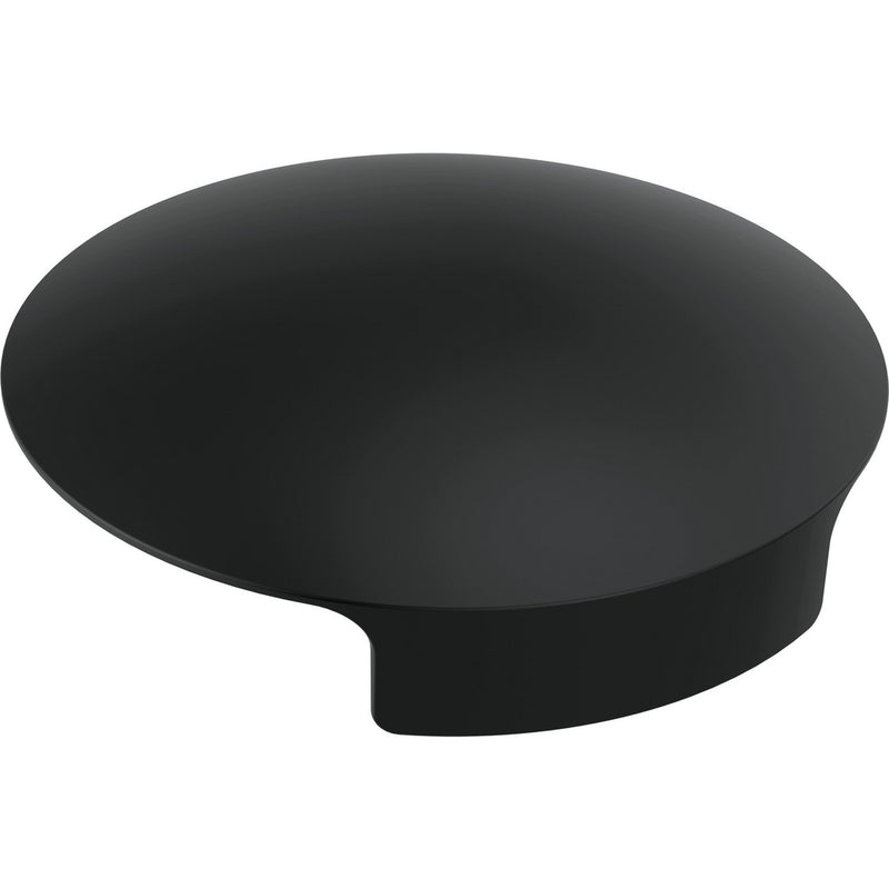 DELTA RP101289 METAL GLASS RINSER COVER