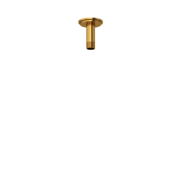 Riobel 569 7.5 cm - 3" Vertical Shower Arm