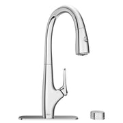 American Standard Saybrook Single-Handle Pull-Down Dual Spray Kitchen Faucet 1.5 GPM with Filter