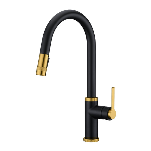 Empyrean Golden Night Pull-out Kitchen Faucet GK-20