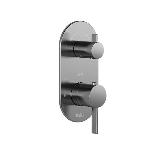 Kalia Round Decorative Trim For 2-Way Or 3-Way Type T/P 1/2" Valve With Diverter