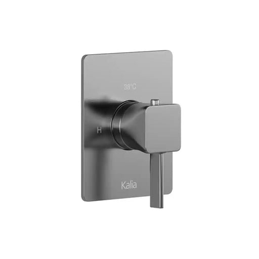 Kalia Square Decorative Trim For 2-Way Type T/P 1/2" Coaxial Valve With Diverter
