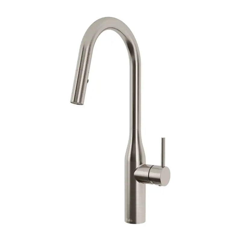 Kalia Kaviar Single Handle Kitchen Faucet Pull-Down Dual Spray