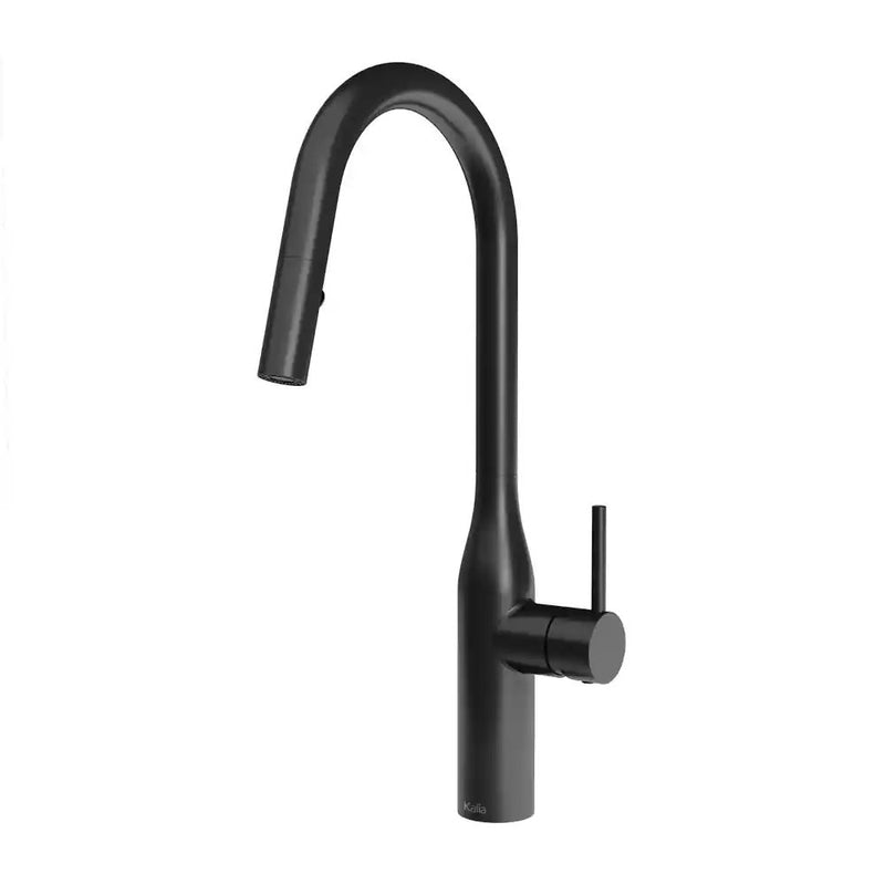 Kalia Kaviar Single Handle Kitchen Faucet Pull-Down Dual Spray