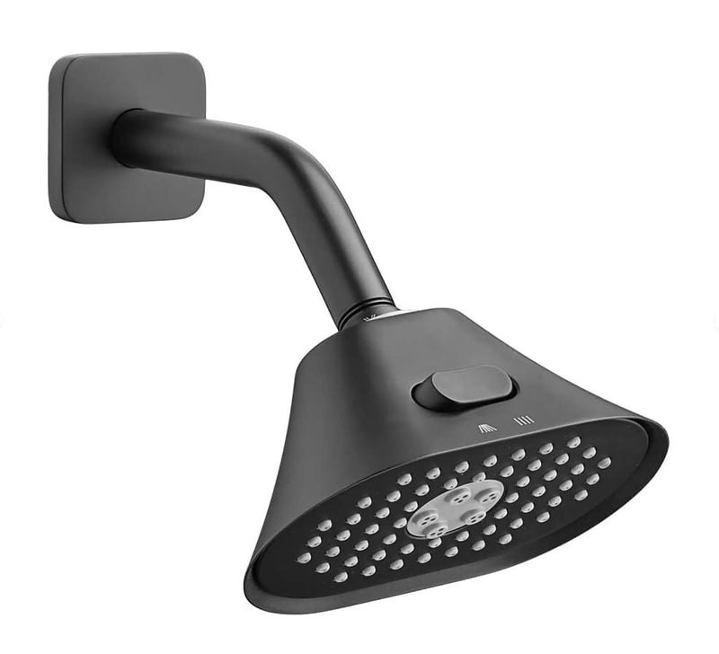 DXV Equility Oval Showerhead