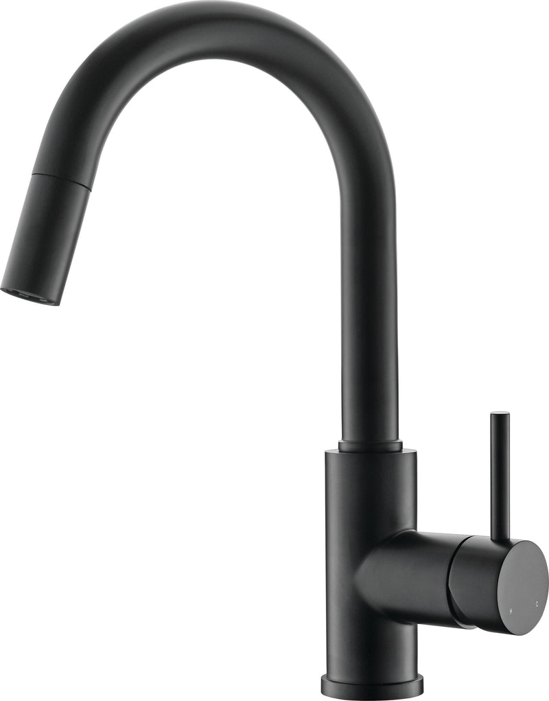 Bosco 200065BK Kitchen Faucet
