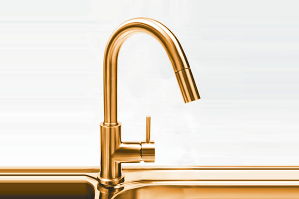 Bosco 200065GD Kitchen Faucet